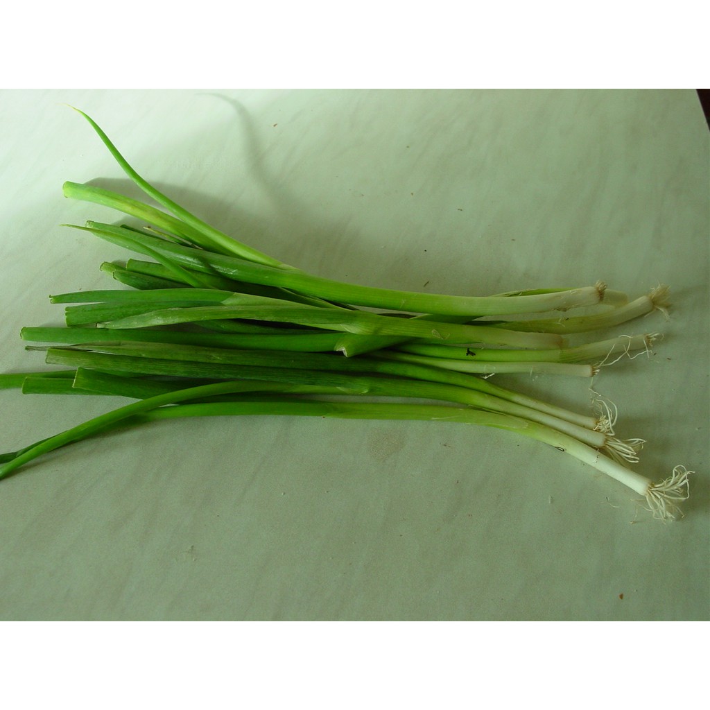 

DAUN BAWANG DAN SELEDRI [BISA INSTANT DELIVERY]