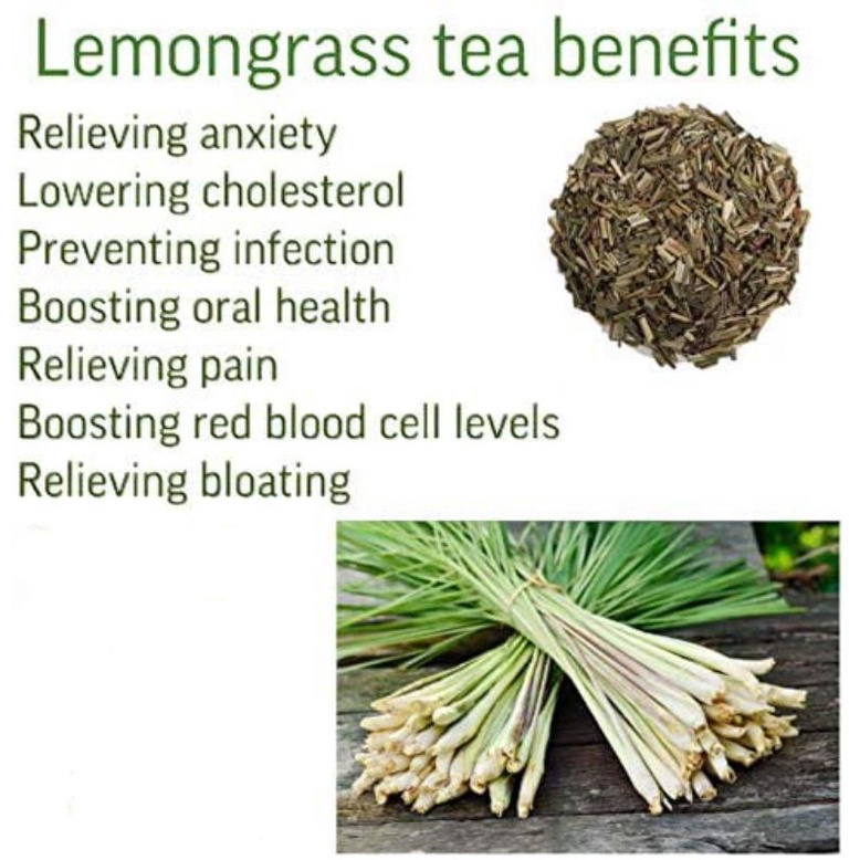 Spearmint Lemongrass Tea : Spearmint With Lemongrass Tea 30 Tea Bag