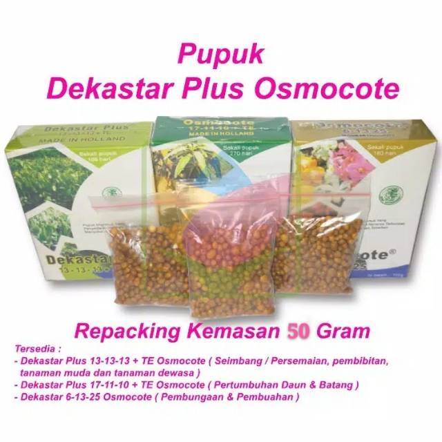 Dekastar 17-11-10+TE Dekastar 6-13-25 Dekastar 13-13-13+TE 50 gr osmocote pupuk