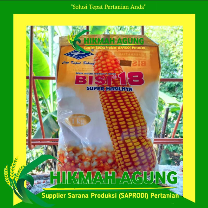 

Benih jagung hibrida Bisi 18 isi 1kg BISI