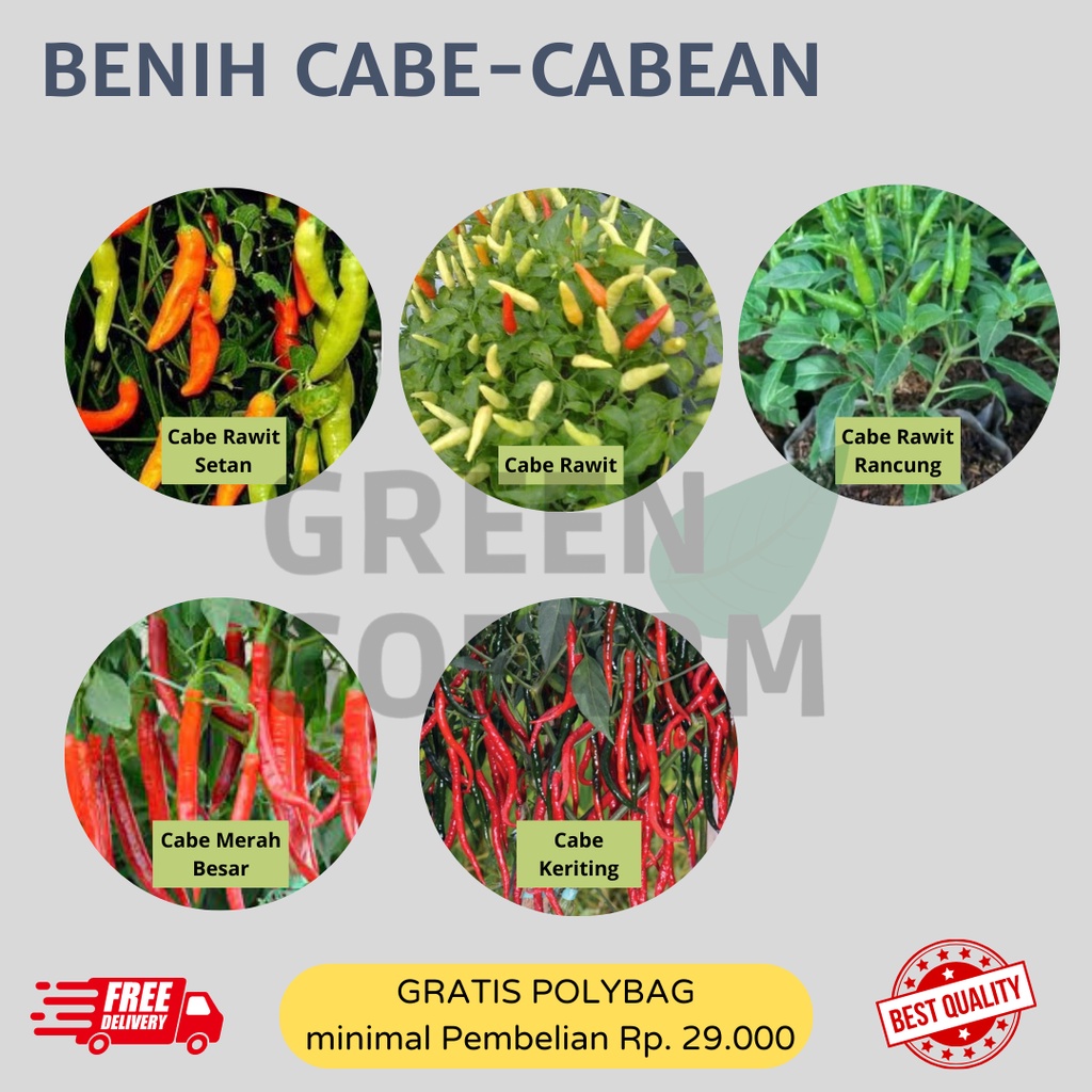 Benih Tanaman- BENIH CABE-CABEAN (Cabai Merah Besar, Cabai Keriting, Cabai Rawit, Cabai Rawit Setan,
