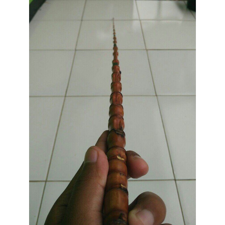joran pancing bambu cendani