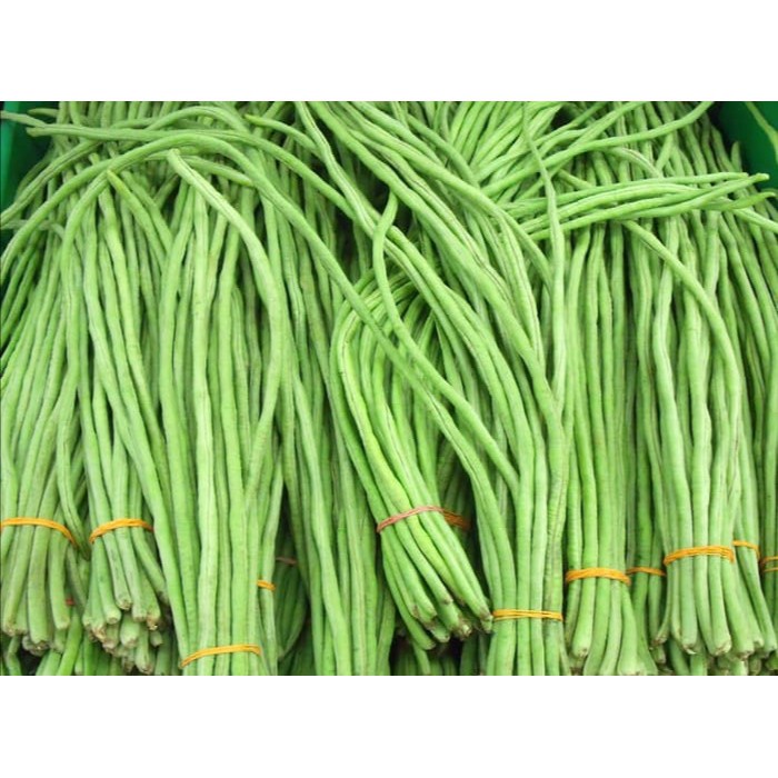 

KACANG PANJANG 500 GRAM - FC PALEMBANG