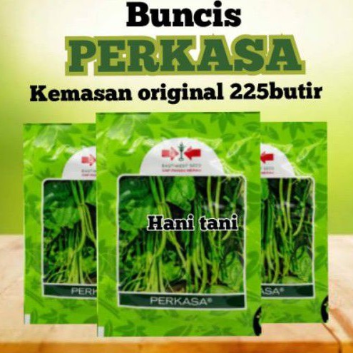 BENIH BIBIT TANAMAN PERTANIAN SAYURAN BUNCIS HIDROPONIK