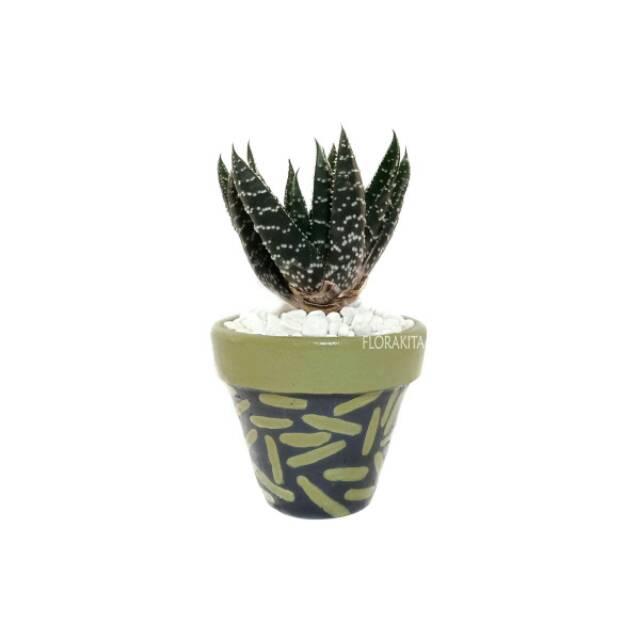 Pot Tanah Liat/Clay Pot Linia