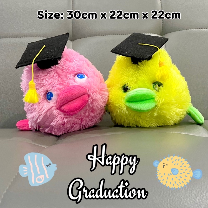 boneka wisuda ikan boneka graduation graduated boneka hadiah kelulusan ikan high quality