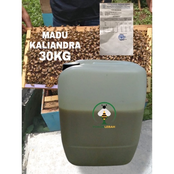 

Madu asli nektar bunga kaliandra 20 kg curah madu langsung dari peternak nya