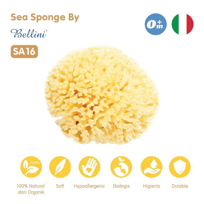 Bellini Natural Sea Sponges Honeycom - Sponge Mandi Bayi