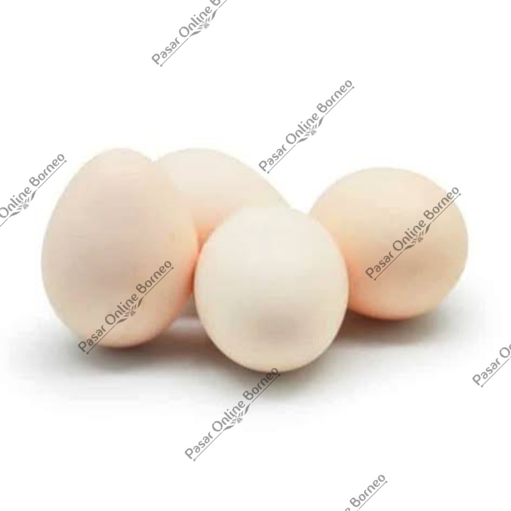 

Telur Ayam Kampung