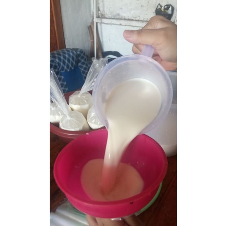 

susu sapi segar
