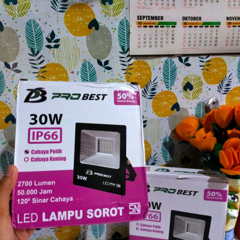 Jual Lampu Sorot Tembak 30 Watt Probest(pencahayaan) | Shopee Indonesia