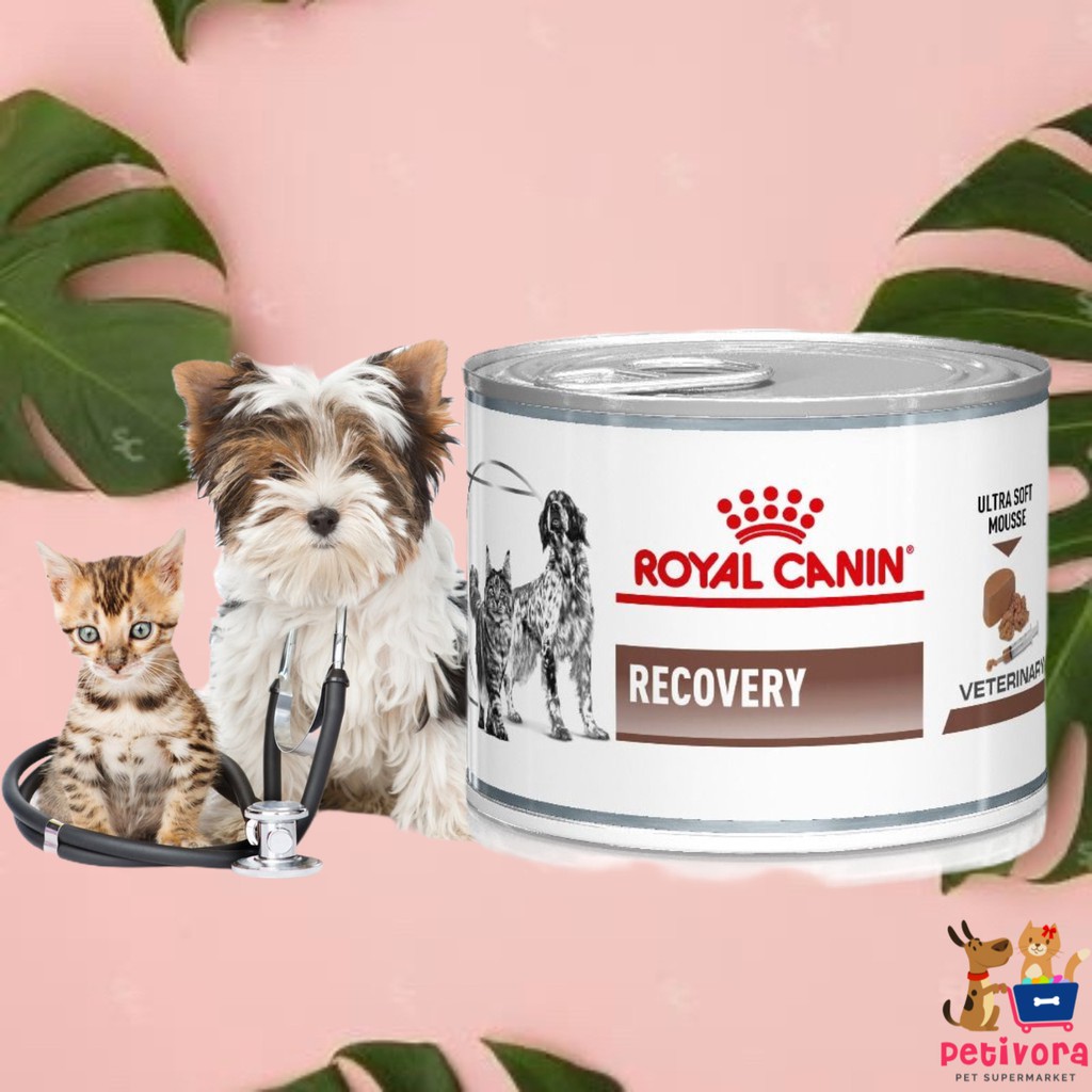 royal canin recovery kaleng for dog and cat 195gr makanan obat kucing anjing sakit pasca operasi