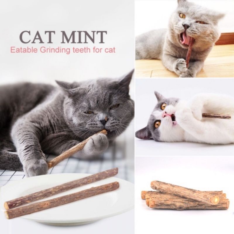 Catnip Kucing CATNIP STICK Snack Mainan Kucing Makanan Kucing Natural Matabi Cat Toys