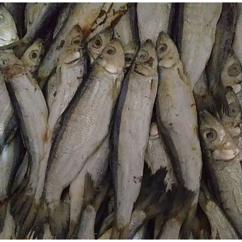

ikan asin japuh 1kg
