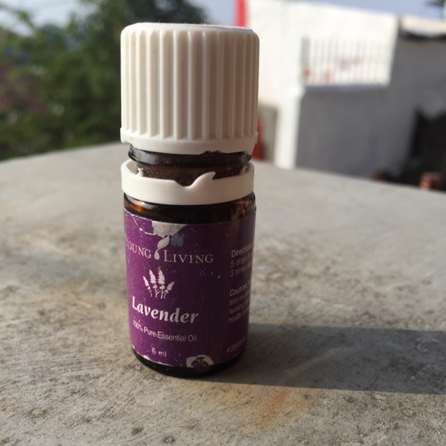 

youngloving lavender