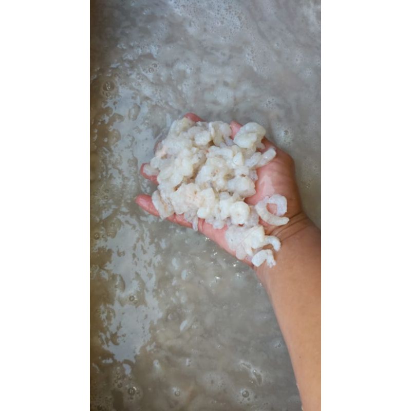 

Udang kupas kecil