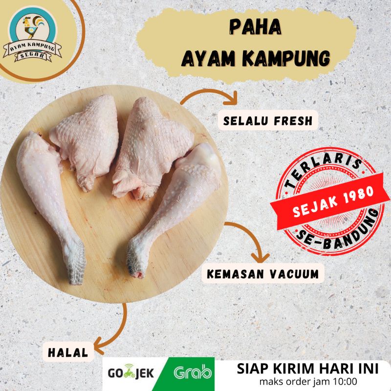 

Paha Ayam Kampung per pasang Fresh Sehat Bersih khusus Bandung