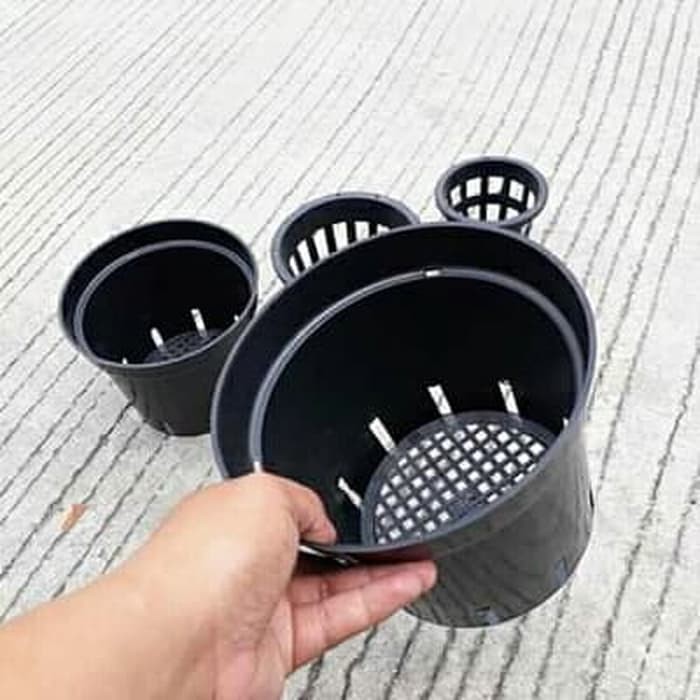 Pot Plastik Anggrek 20cm Pot Bunga Anggrek Orchid 20 cm Grosir Murah Limited