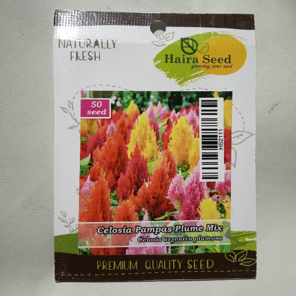 Benih Bibit Biji Bunga Celosia Pampas Plume Tanaman Hias Warna Warni