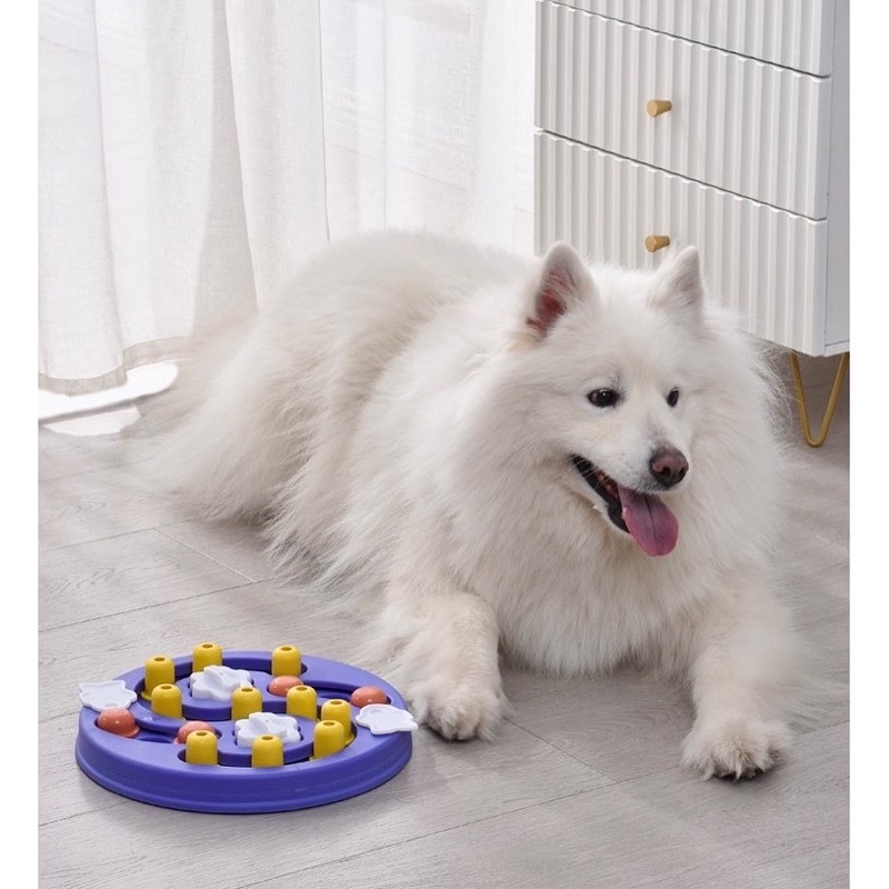 Big brain pet IQ puzzle toy