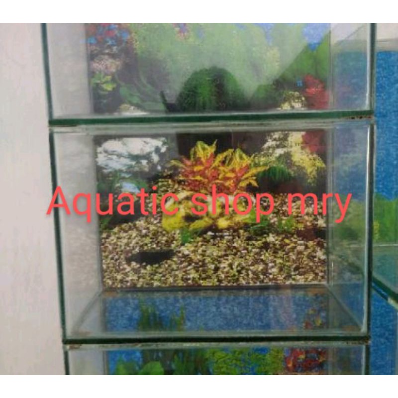 Aquarium 40x20x25 background