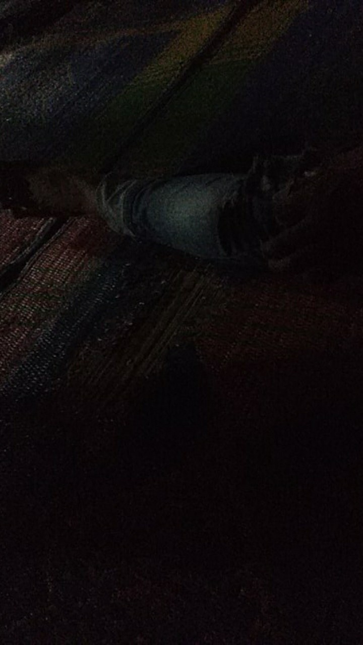 Edelin Kemeja Batik Pria Full Furing Bahan Katun Primisima