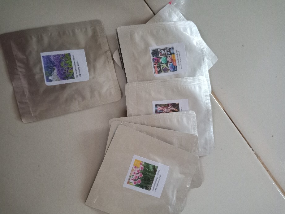 (36 Seeds) Biji Benih Bunga Mawar 36 Varieties Of Roses Mixed