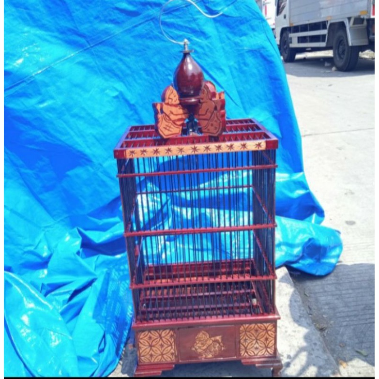 Kandang burung pleci , Ciblek model ukir semar