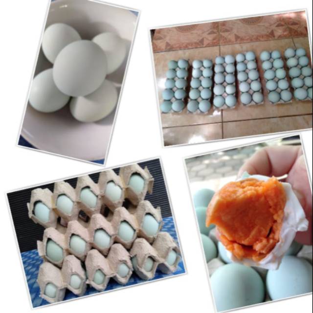 

Telur Asin Omega warna Orange
