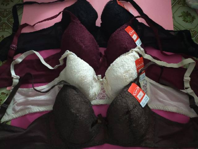 BH Sorex 11172 bra brukat Cup besar