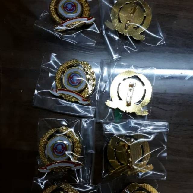 Pin karang taruna