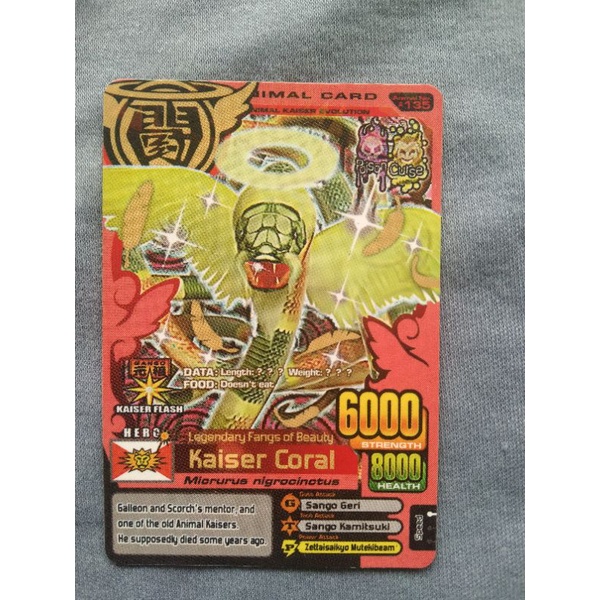 Cards Kaiser Coral Animal Kaiser