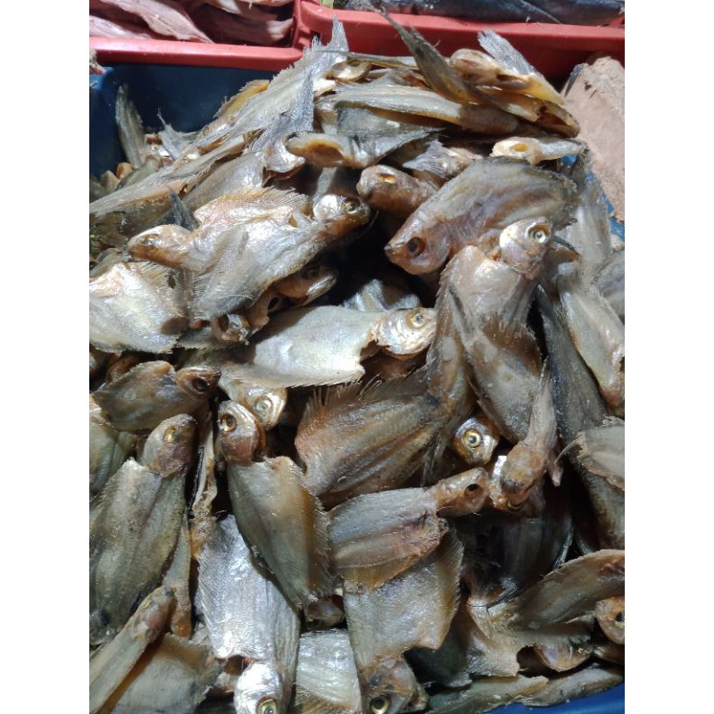 

Ikan asin sepat rawa bening 500gram