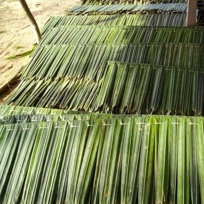 Atap Rumbia / atap daun kiray/ atap Gazebo/ atap rumah/ atap rumah bambu