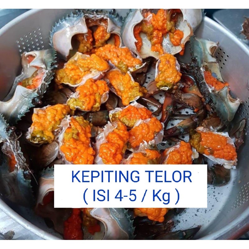 

Kepiting TELOR hidup isi 3-5 EKOR/ KG