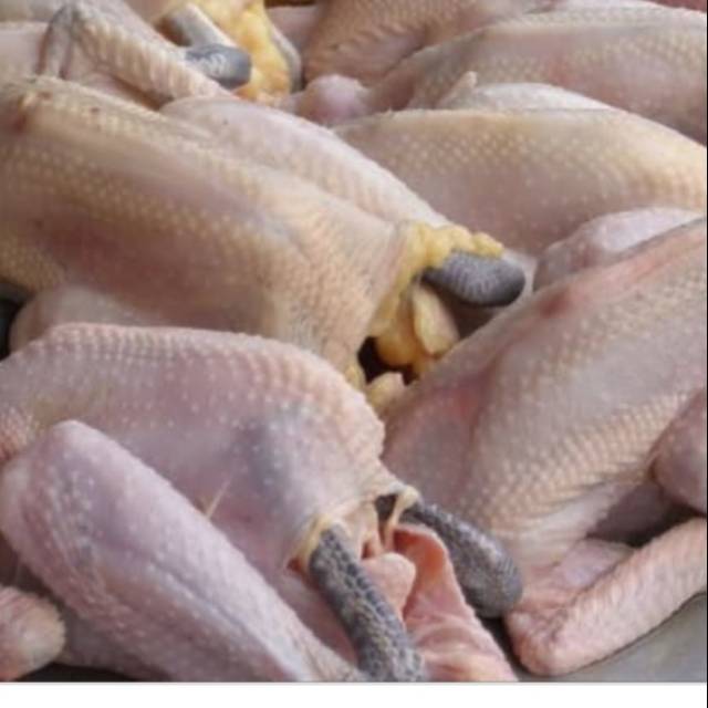 

Karkas Ayam Pejantan 800-900 gram 1 ekor