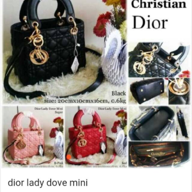 Tas dior mini