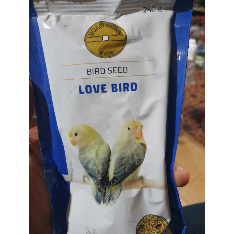 umpan burung gold coin love bird