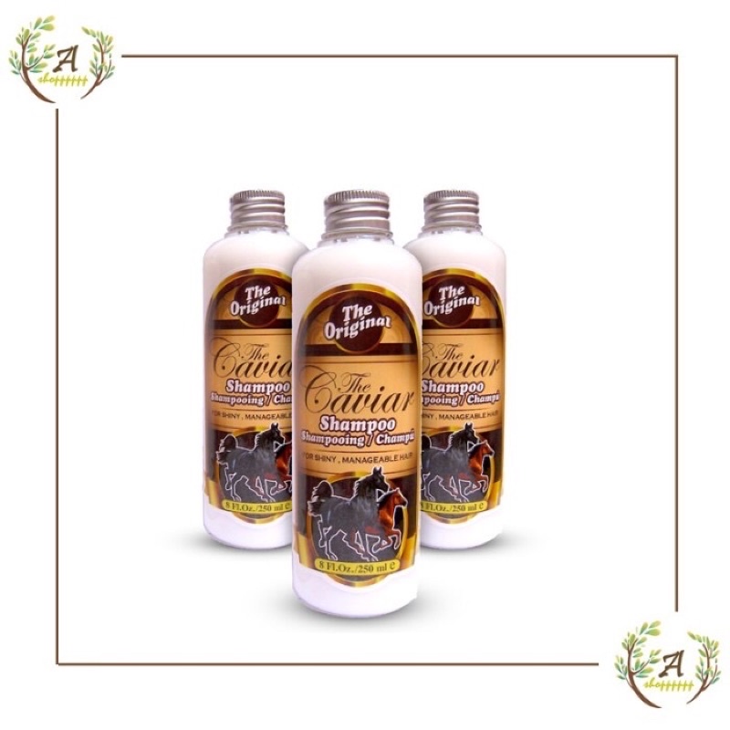 sampo kuda shampoo original bpom