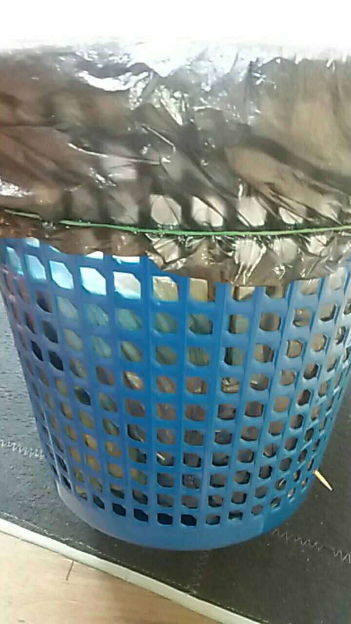 Tempat Keranjang Sampah Medium 25cm