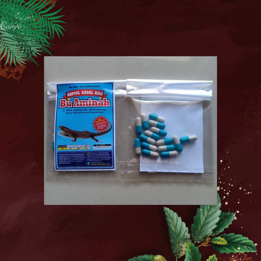 Kapsul Kadal Asli Ibu Aminah Obat Alergi Gatal Kutu Air Borok Asma Flek Hitam Ori Daging Kadal 100%