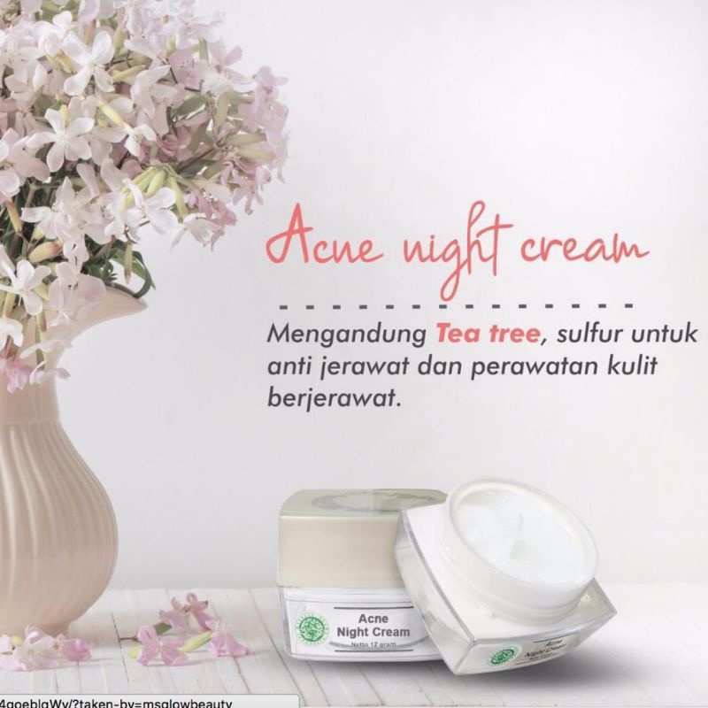 MS Glow Acne Night Cream / Night Cream Acne ORIGINAL 100%