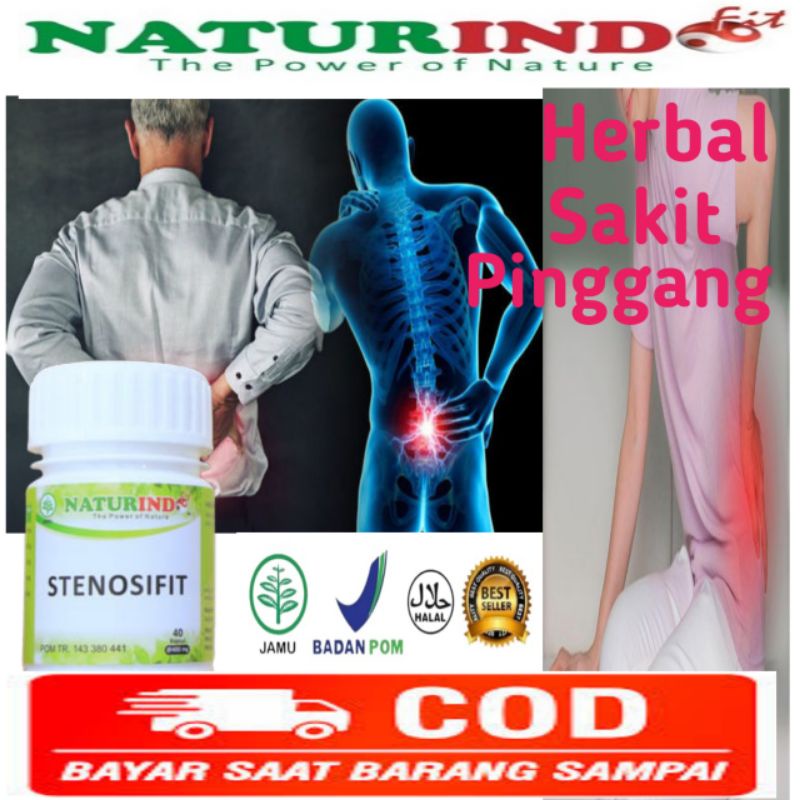 Obat Sakit Pinggang Punggung Bawah Srepet Encok Paling Ampuh Naturindo