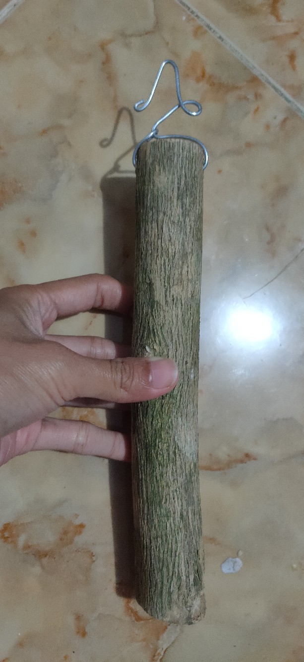 Jual Media Tanam Kayu Kopi Gantung Untuk Anggrek