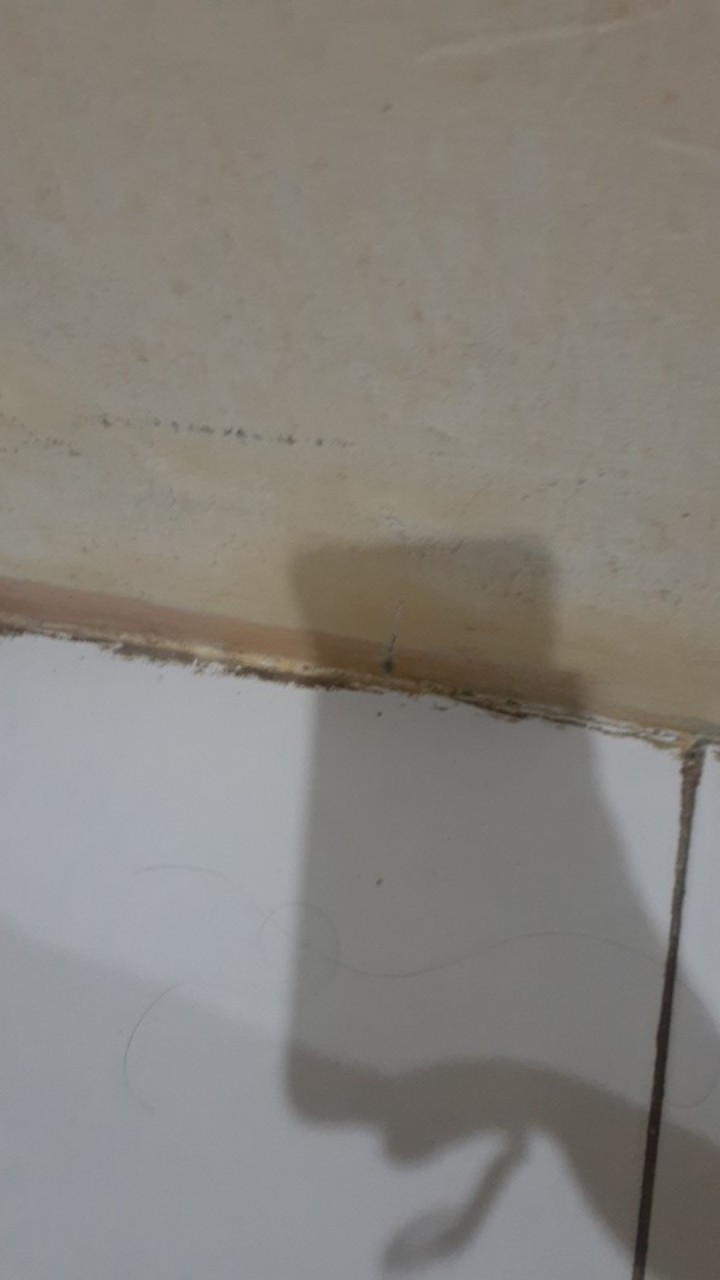 Saringan Jepit Tirisan Gorengan Alat Masak Modern Capitan - Hhd-336