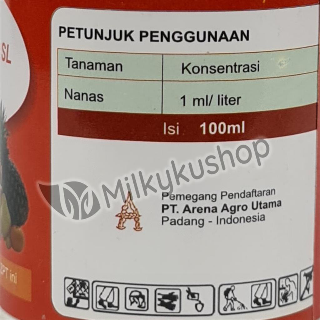 ORBYTE 480 SL 100 ML PEMATANG BUAH PISANG ZPT