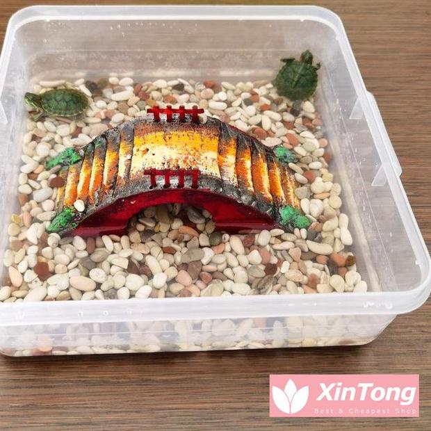 ✽ Aquarium Kura Kura Tempat Kura Air Set Jembatan Berjemur dan Batu Hias ❀