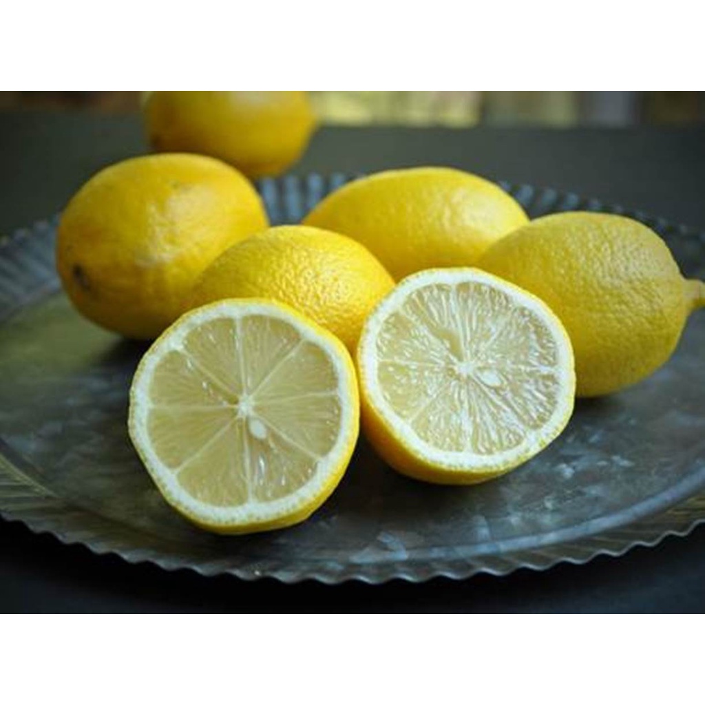 BUAH LEMON 1 KG SEGAR OBAT HERBAL BUAH PENURUN BERAT BADAN MENJAGA DAYA TAHAN TUBUH BISA BUAT MUKA