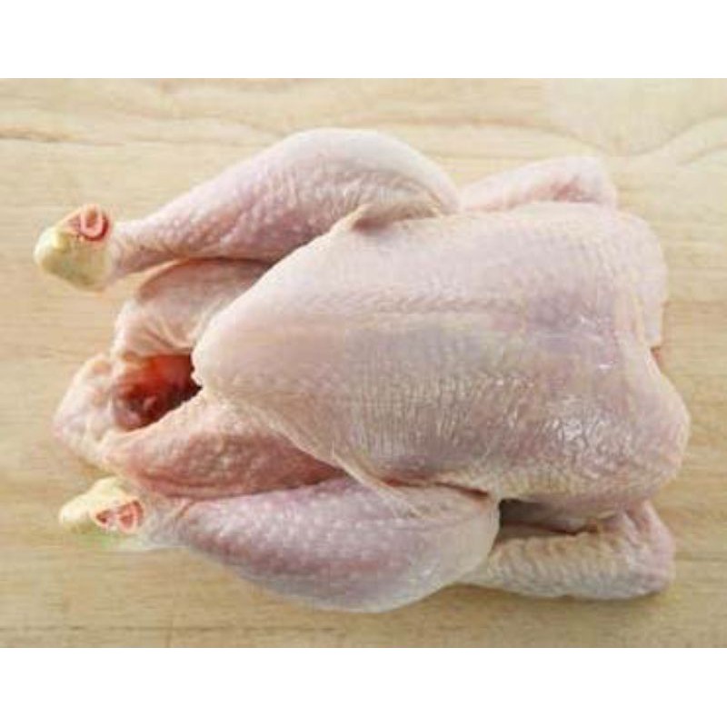 

Ayam Utuh ukuran 0,9 - 1 kg