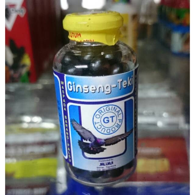 GINSENG TEKI (DOPING MERPATI)